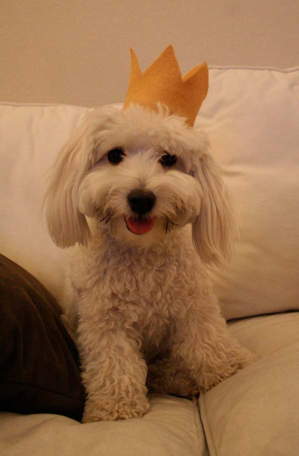 Charlie's 2nd Birthday